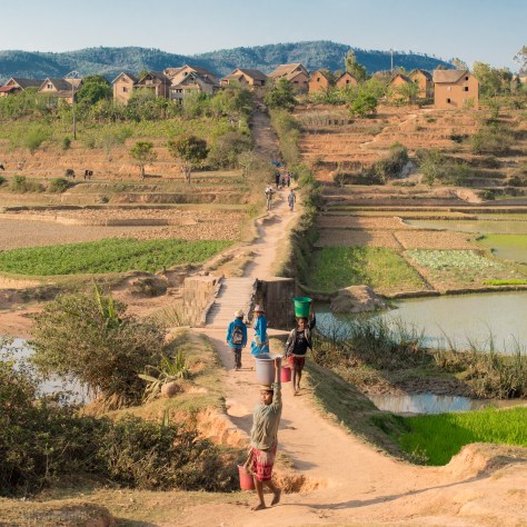 12-17-16-alakamisy-day-bridge