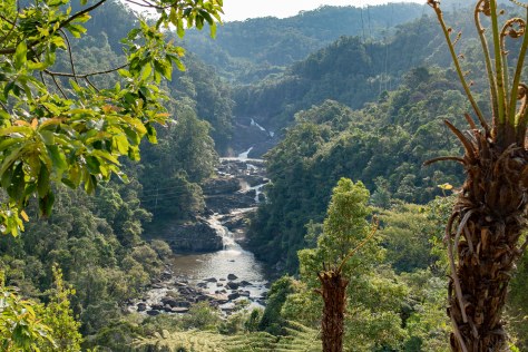 12-17-16-rano-mafana-celebration