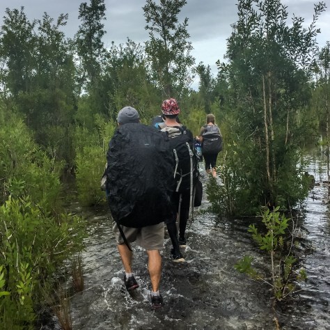 St Marie Hike Swamp 1x1